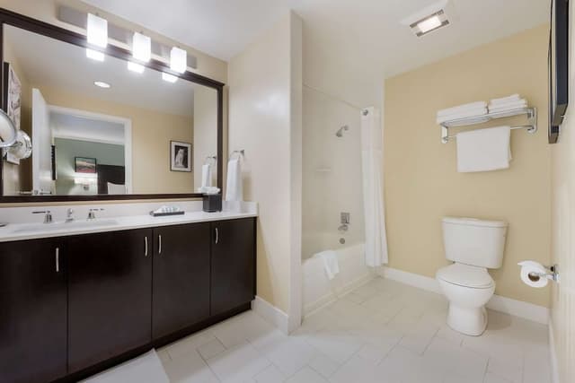 Suite, 1 King Bed, Non Smoking, Refrigerator (with Sofabed)