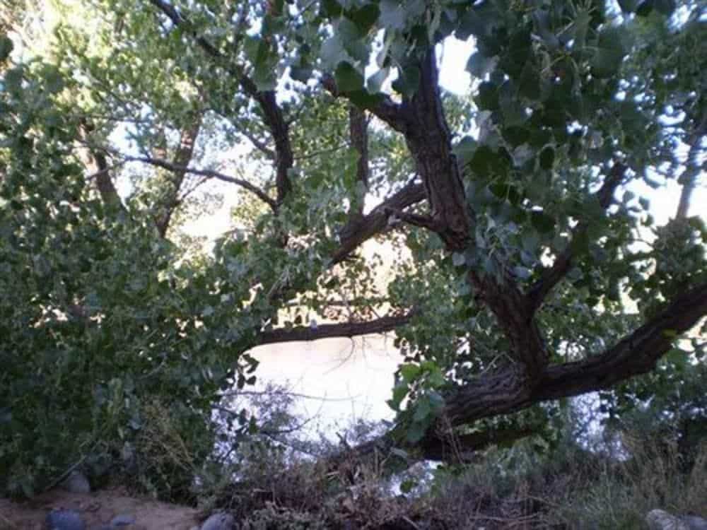 Silver River Adobe Inn