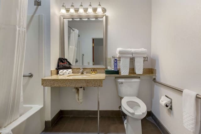 Standard Room, 1 King Bed, Accessible, Refrigerator & Microwave