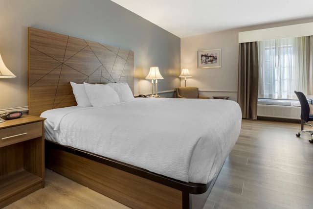 Standard Room, 1 King Bed, Non Smoking, Refrigerator & Microwave