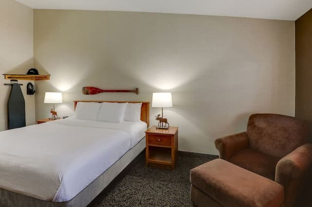 Standard Room, 1 King Bed, Non Smoking