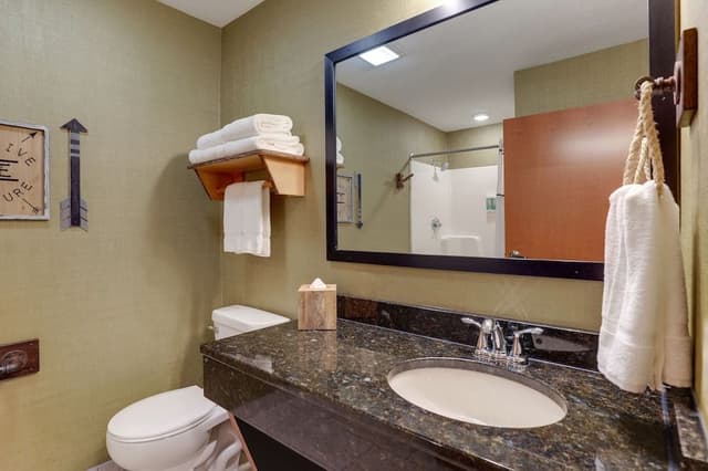 Theme Suite with Fireplace