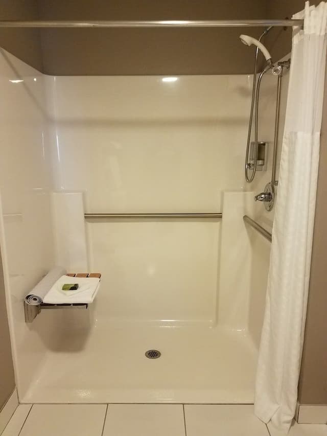 Standard Room, 1 King Bed, Accessible (Roll In Shower)