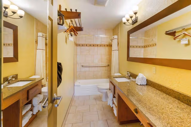 Standard Room, 1 King Bed, Accessible, Bathtub