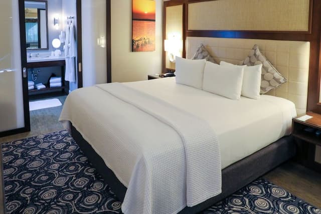 Junior Spa King Suite