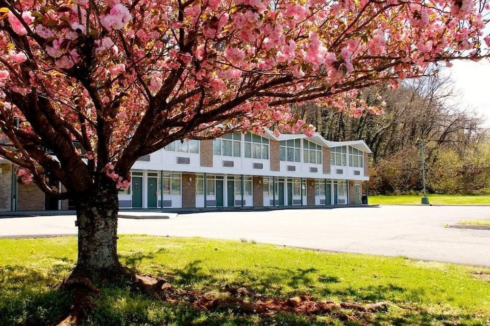 Colony House Motor Lodge2