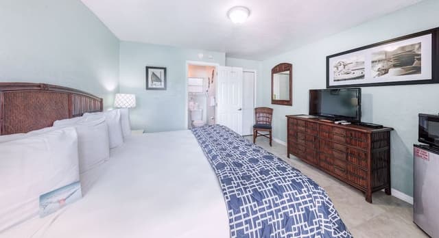 Room, 1 King Bed