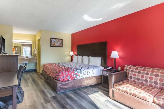 Standard Room, 1 King Bed, Non Smoking (No Pets Allowed)