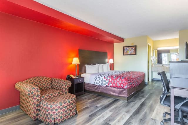 Standard Room, 1 King Bed, Non Smoking (No Pets Allowed)