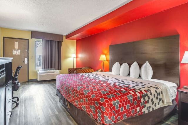 Standard Room, 1 King Bed, Non Smoking (No Pets Allowed)