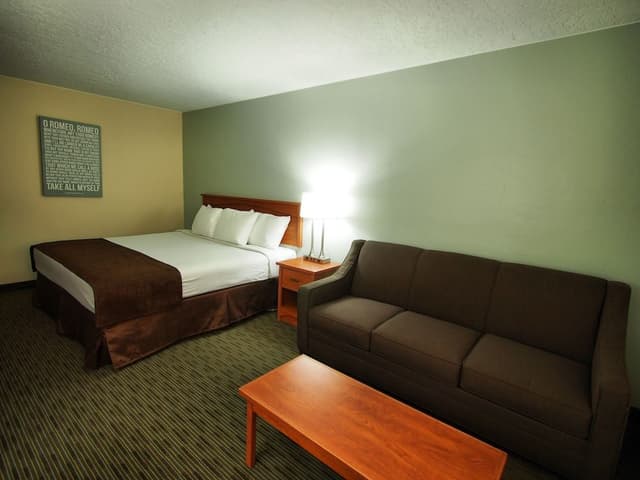 Room, 1 King Bed with Sofa bed