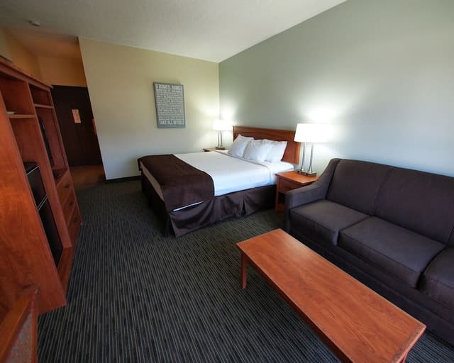 Room, 1 King Bed with Sofa bed