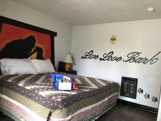 Design Single Room, 1 King Bed
