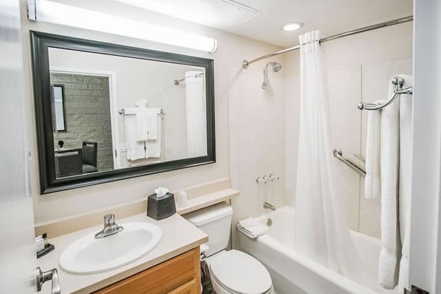 Comfort Room, 1 Bedroom
