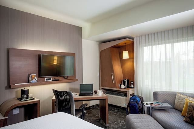 Room, 1 King Bed with Sofa bed