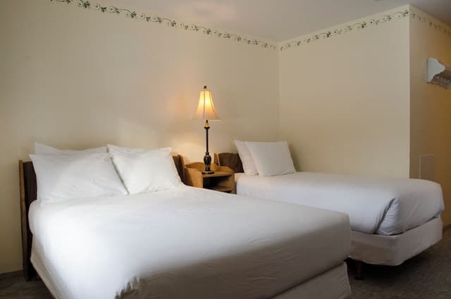 Deluxe Room - Double & Single Bed