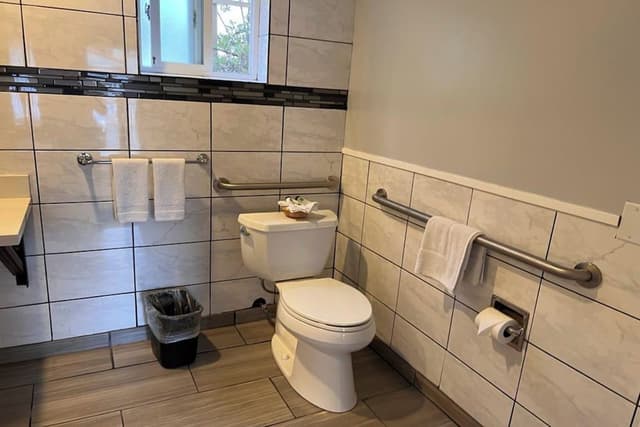 Standard Room, 1 King Bed, Roll-in Shower, Non Smoking