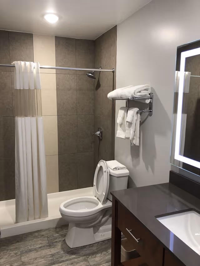 Suite, 1 King Bed with Sofa bed, Non Smoking