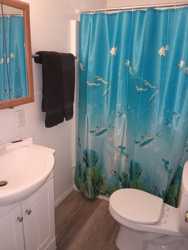 Basic Apartment, 2 Double Beds, Kitchenette