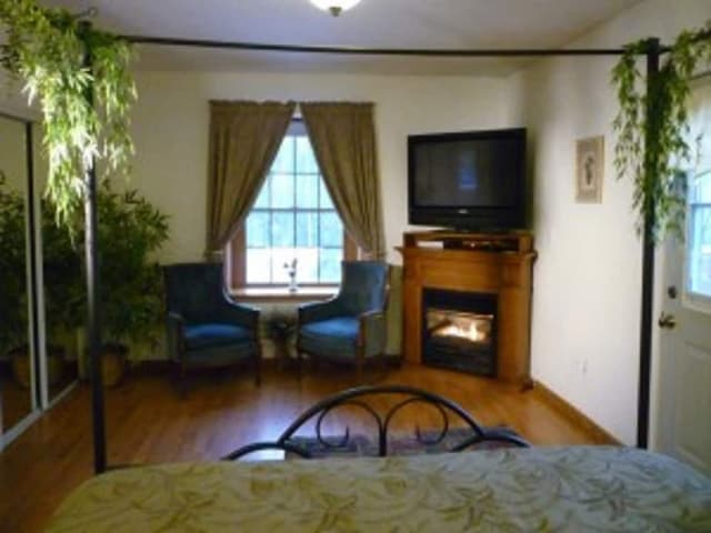 Room (Penthouse)