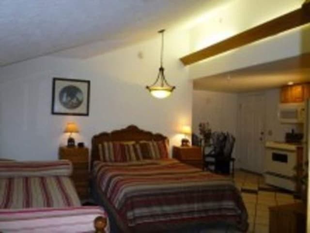 Room (Penthouse)
