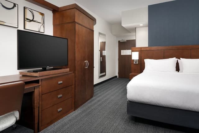 Room, 1 King Bed with Sofa bed
