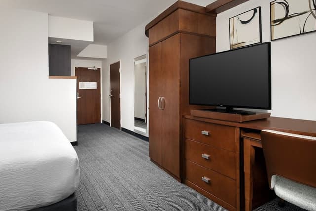 Room, 1 King Bed with Sofa bed