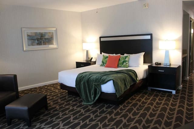 Standard Room, 1 King Bed, Non Smoking