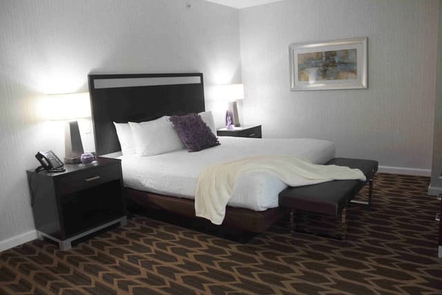 Standard Room, 1 King Bed, Non Smoking