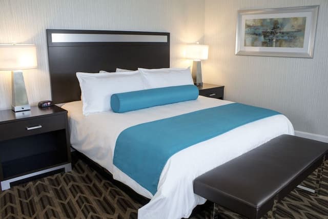 Standard Room, 1 King Bed, Non Smoking