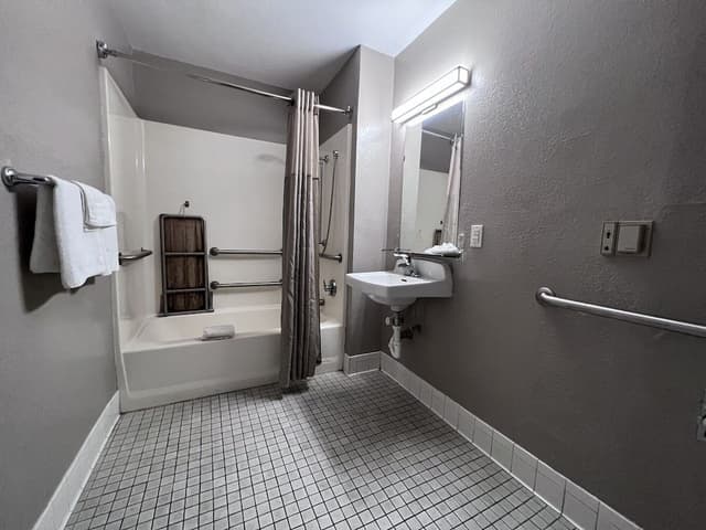 Standard Room, 1 Double Bed, Accessible, Non Smoking