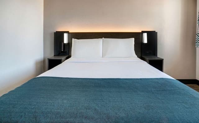 Deluxe Room, 1 Queen Bed, Non Smoking, Refrigerator & Microwave