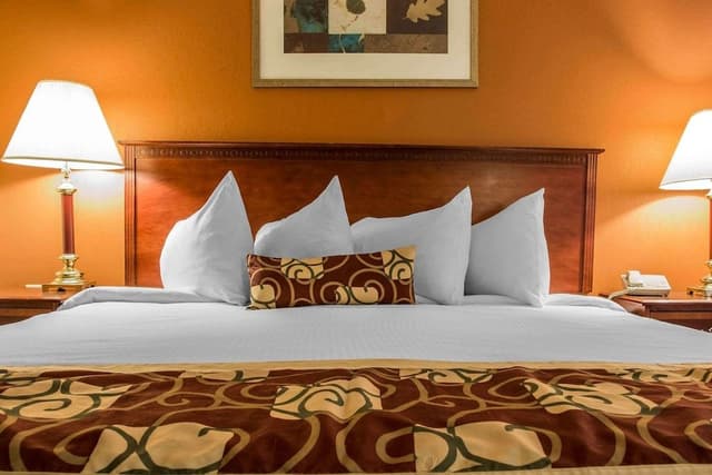 Standard Room, 1 King Bed, Non Smoking