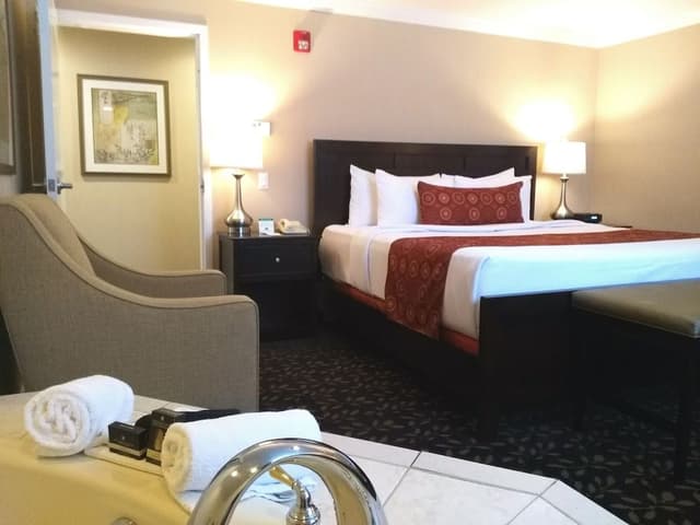 Suite, 1 King Bed with Sofa bed