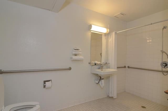 Standard Room, 1 Double Bed, Accessible, Non Smoking