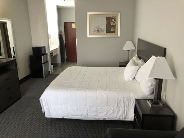 Standard Single Room, 1 King Bed