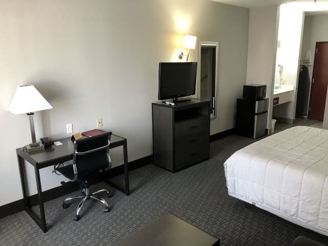 Standard Single Room, 1 King Bed
