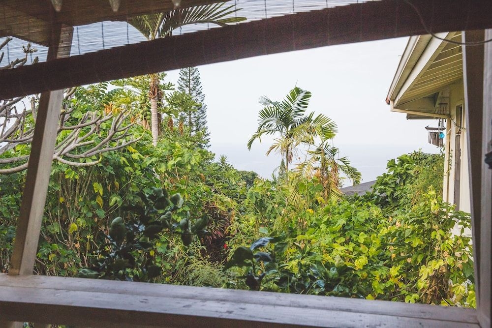 Kona Hawaii Guesthouse & Micro Spa1