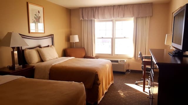 Standard Double Room, 2 Double Beds