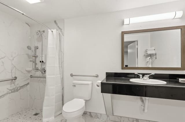 Deluxe Room, 1 King Bed, Roll-in Shower, Smoking