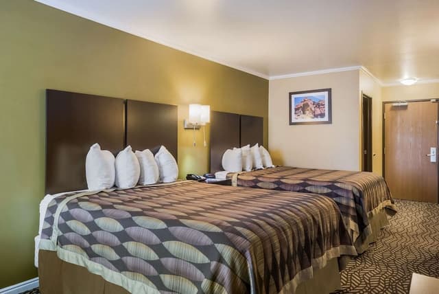 Standard Room, 2 Queen Beds, Non Smoking, Refrigerator & Microwave (Pet Friendly)