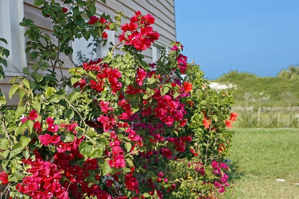 Beachfront Bed & Breakfast2