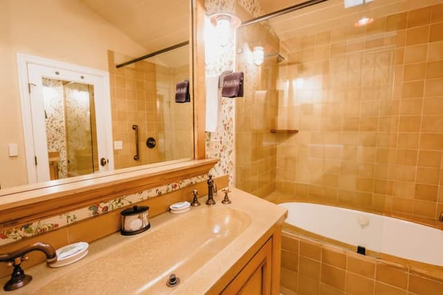 Luxury Single Room, Courtyard View