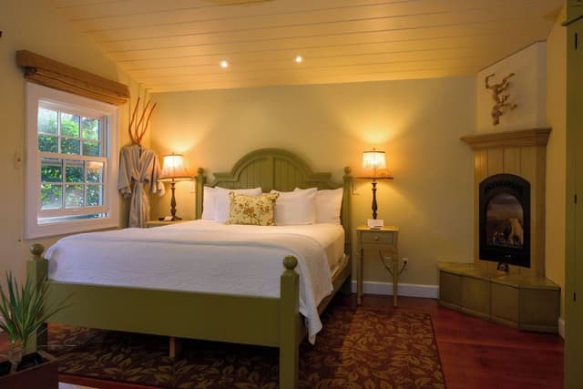 Luxury Single Room, Courtyard View