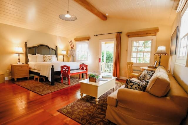 Luxury Single Room, Courtyard View