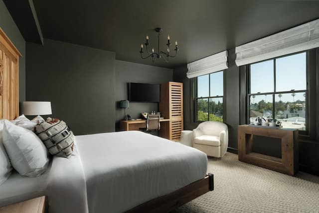 ADA King Room
