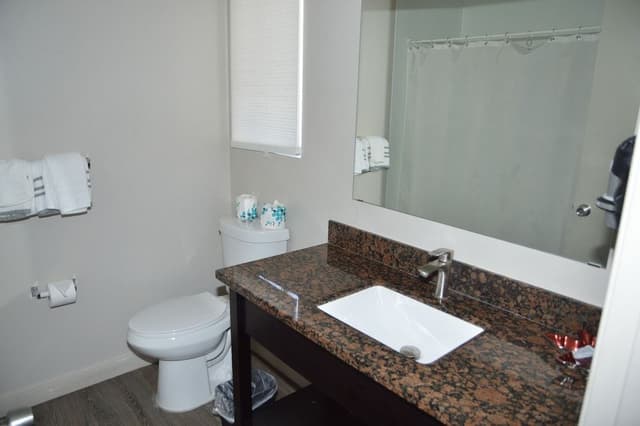 Family Suite, Multiple Beds