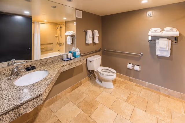 Standard Suite, 1 Queen Bed with Sofa bed, Accessible, City View