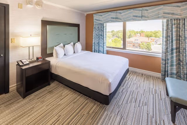 Standard Suite, 1 Queen Bed with Sofa bed, Accessible, City View