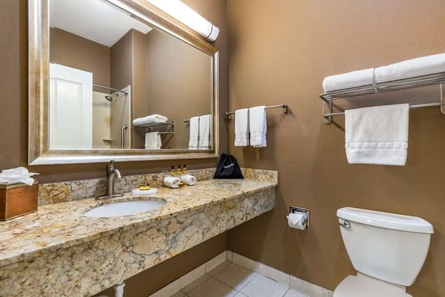 Standard Room, 1 King Bed, Non Smoking, Refrigerator & Microwave